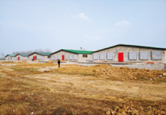 渦陽縣生豬育肥基地